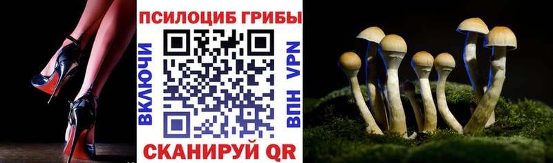 Псилоцибиновые грибы Cubensis  наркота  Южа 